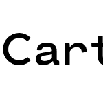 Cartograph Sans CF