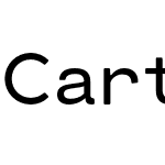 Cartograph Sans CF