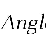AngleciaProTextW03-LightIt