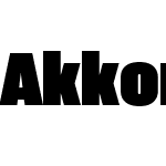 AkkordeonW04-Thirteen