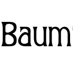 BaumfussW05-Regular