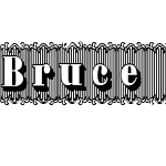 Bruce1490W05-Regular