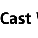 CastW05-Heavy