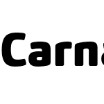 CarnasW03-Black