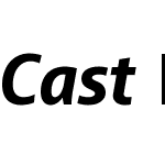 CastW05-HeavyItalic