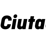 CiutadellaDisplayW03-XBdIt