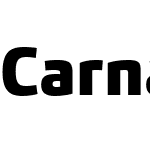 CarnacW05-Black