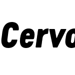 Cervo Neue