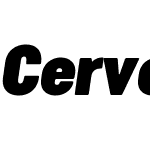 Cervo Neue Con