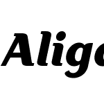 Aligarh