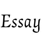 EssayTextW05-Italic