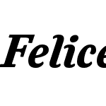 FeliceW01-BlackItalic