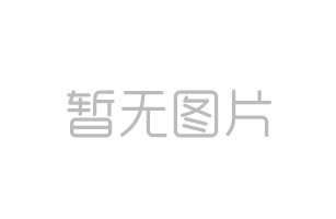 王汉宗字型