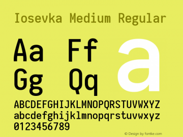 Iosevka Medium Regular 1.8.6 Font Sample