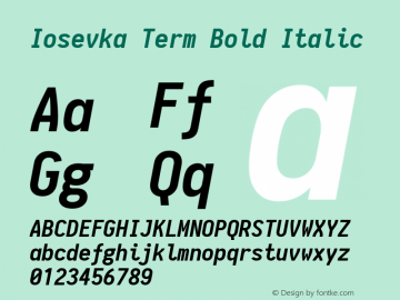 Iosevka Term Bold Italic 1.8.6图片样张