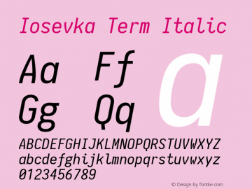 Iosevka Term Italic 1.8.6图片样张