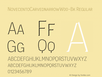 NovecentoCarvednarrowW00-Bk Regular Version 1.10 Font Sample