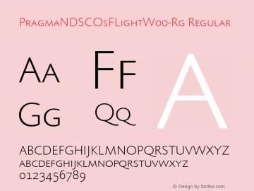 PragmaNDSCOsFLightW00-Rg Regular Version 1.10图片样张