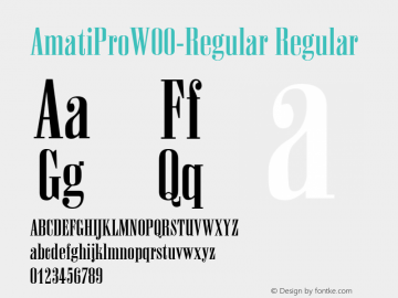 AmatiProW00-Regular Regular Version 1.00 Font Sample