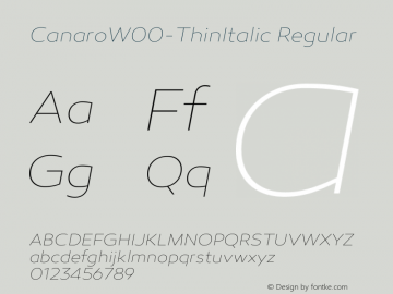 CanaroW00-ThinItalic Regular Version 1.00图片样张