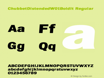 ChubbetDistendedW01-BoldIt Regular Version 1.00 Font Sample