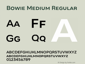 Bowie Medium Regular Version 1.001;PS 001.001;hotconv 1.0.88;makeotf.lib2.5.64775 Font Sample