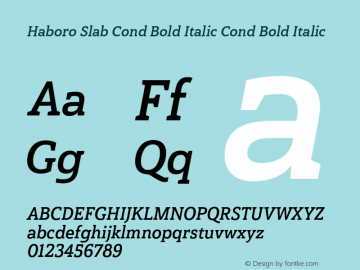Haboro Slab Cond Bold Italic Cond Bold Italic Version 1.000图片样张