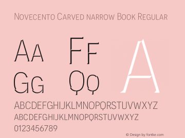 Novecento Carved narrow Book Regular Version 1.001;PS 001.001;hotconv 1.0.70;makeotf.lib2.5.58329图片样张