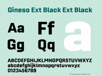 Gineso Ext Black Ext Black Version 1.000图片样张
