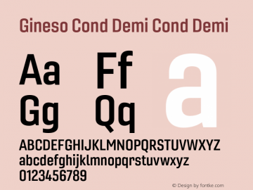 Gineso Cond Demi Cond Demi Version 1.000图片样张