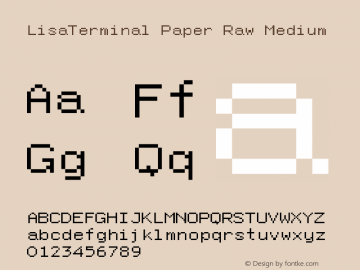 LisaTerminal Paper Raw Medium Version 1.0 Font Sample