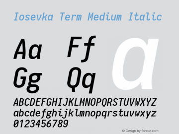 Iosevka Term Medium Italic 1.9.0图片样张