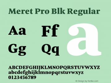 Meret Pro Blk Regular Version 2.000;PS 1.000;hotconv 1.0.50;makeotf.lib2.0.16970 Font Sample