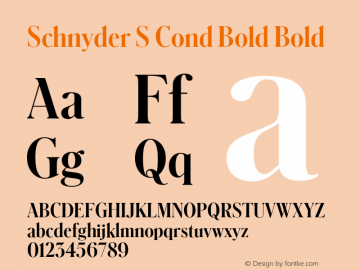 Schnyder S Cond Bold Bold Version 1.1 2013 Font Sample