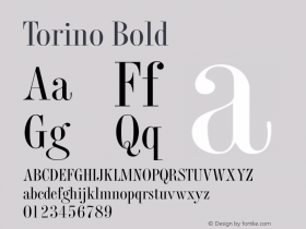 Torino Bold Version 1.0图片样张