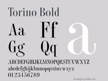 Torino Bold Version 1.0 Font Sample