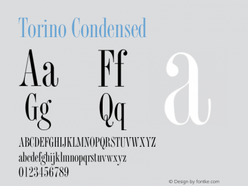 Torino Condensed Version 1.0 Font Sample