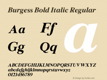 Burgess Bold Italic Regular Version 1.002;PS 001.002;hotconv 1.0.88;makeotf.lib2.5.64775 Font Sample