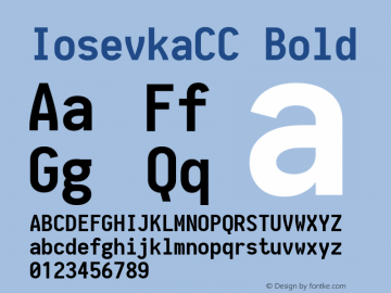 IosevkaCC Bold 1.9.1 Font Sample