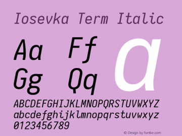 Iosevka Term Italic 1.9.1图片样张
