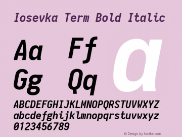 Iosevka Term Bold Italic 1.9.1图片样张