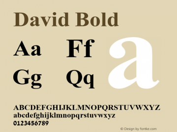 David Bold Version 1.00图片样张