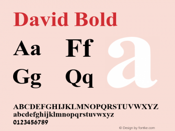 David Bold Version 6.01图片样张