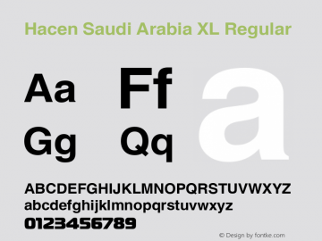 Hacen Saudi Arabia XL Regular Version 1.00 2007图片样张
