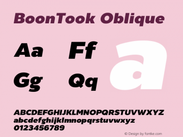 BoonTook Oblique Version 2.0.1图片样张