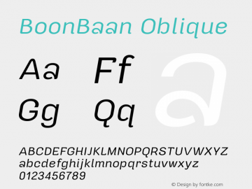 BoonBaan Oblique Version 1.0.1图片样张