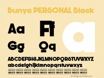 Bunya PERSONAL Black Version 1.000图片样张