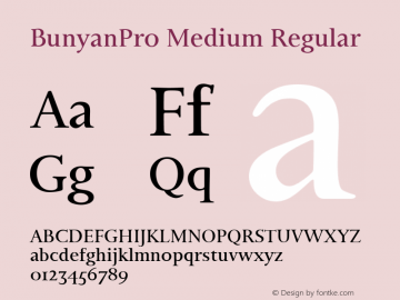 BunyanPro Medium Regular Version 001.000;com.myfonts.easy.canadatype.bunyan-pro.medium.wfkit2.version.4Aza Font Sample
