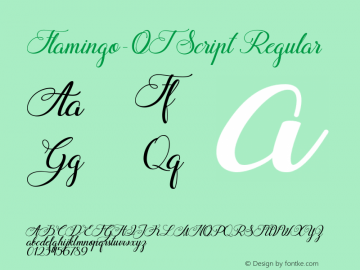 Flamingo-OT Script Regular Version 1.003;PS 001.003;hotconv 1.0.88;makeotf.lib2.5.64775 Font Sample