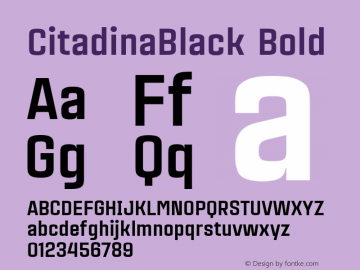 CitadinaBlack Bold Version 001.001 ;com.myfonts.easy.graviton.citadina.black.wfkit2.version.4AeX图片样张